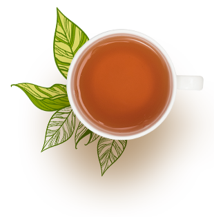 Steps to make rose tea properly and its several health benefits