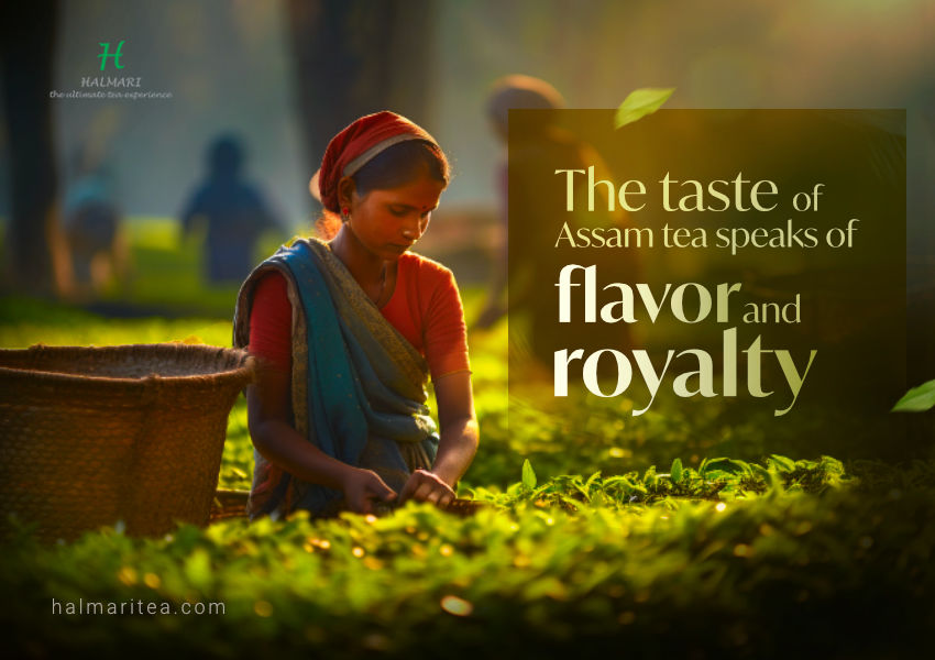 Indulge in Assam tea's regal flavor, embodying the rich history of tea in Assam.
