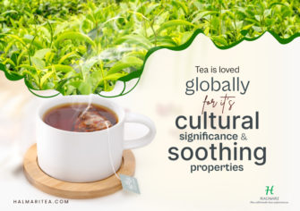 Exploring the Hottest Tea Trends of 2024 in the Global Market