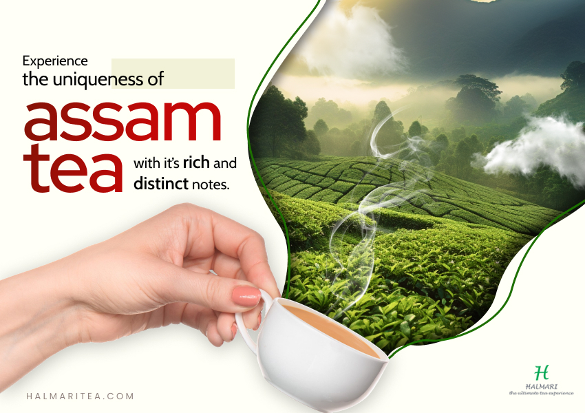 Explore the Place Known as the Tea Garden of India