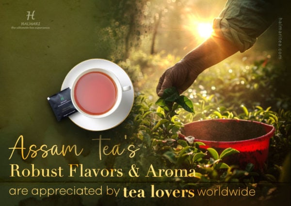 Tea of Assam: History, Varieties, and Health Benefits