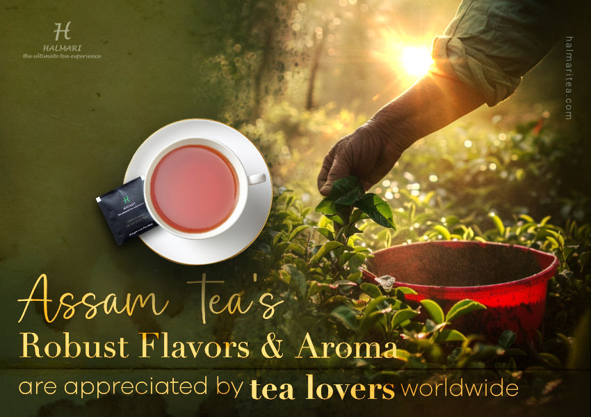 Tea of Assam: History, Varieties, and Health Benefits