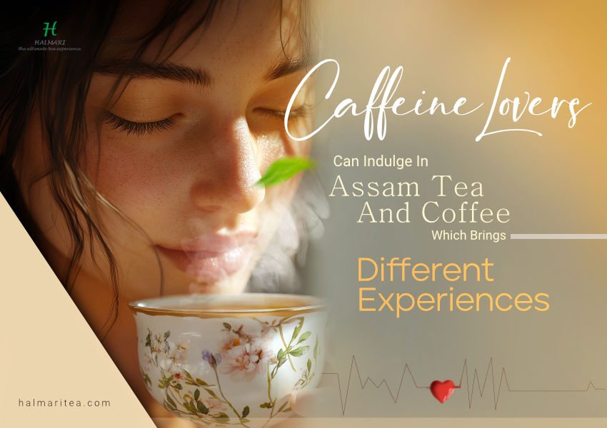 Tea vs Coffee: Caffeine Content & Health Effects Explained