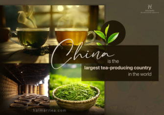 Largest Tea Producing Country | World’s Top Tea Supplier