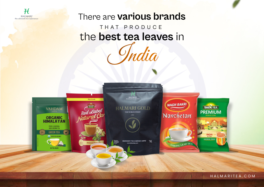 Top 10 Best Tea Brands in India Leading the Industry