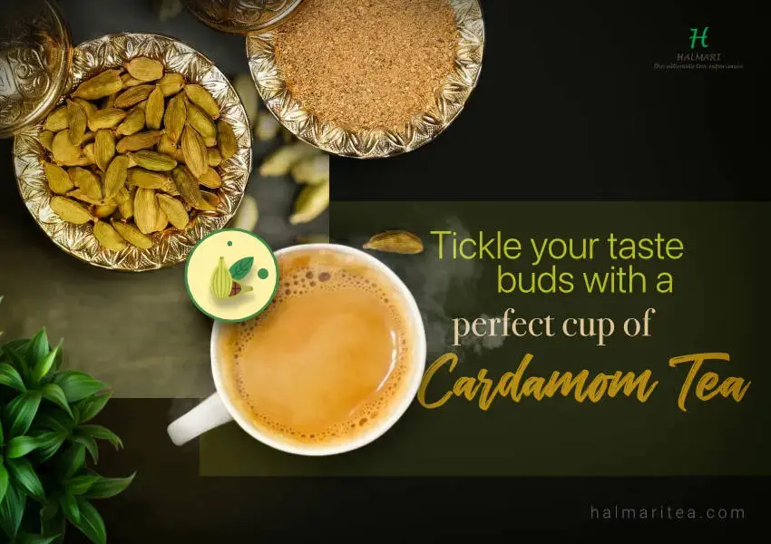 Health Benefits of Cardamom Tea