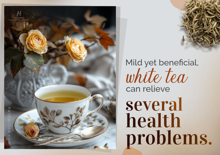 9 Interesting Health Benefits of Drinking White Tea