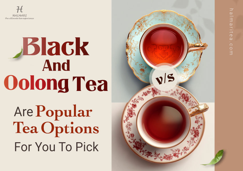 Which Tea is Better: Black tea or Oolong Tea?